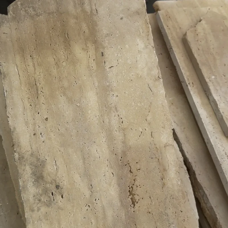 Dzikówka trawertynowa Ivory Pat